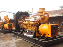 临桂发电机组的频率规格是如何确定的？